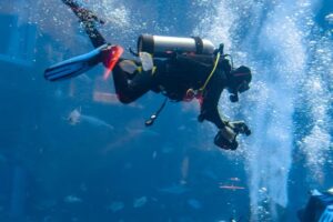 Diving Services: Offshore/Inshore